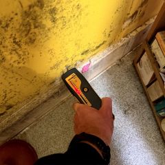 Damp and Mould Surveys